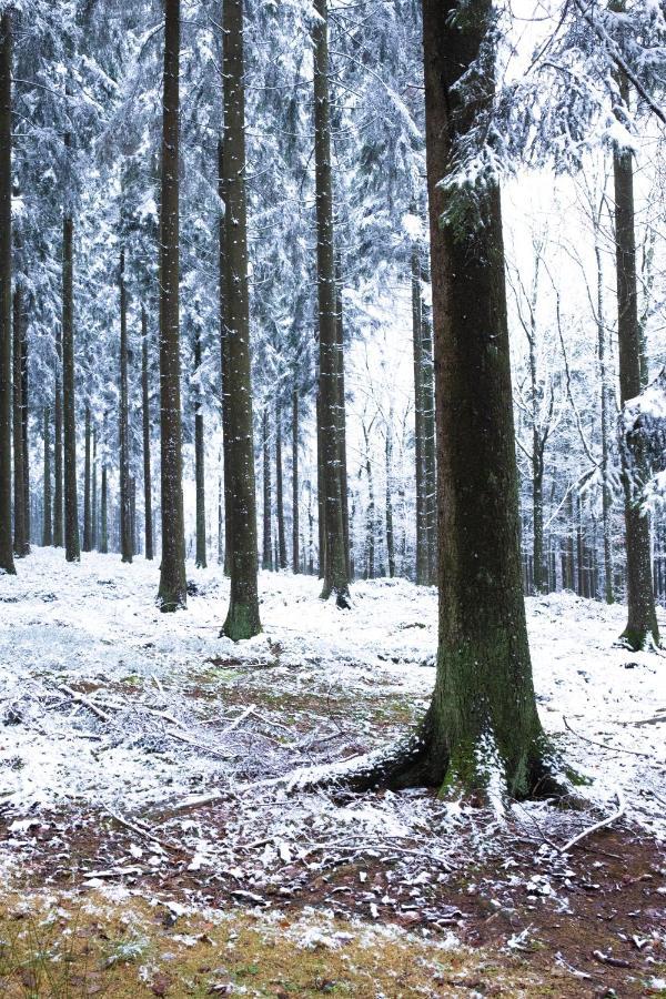 Willa Au Bois Colin Durbuy Zewnętrze zdjęcie